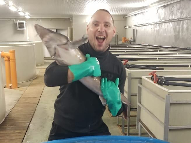 Автомобильная экскурсия в в усадьбу Демидовых «Сиворицы», в которой в настоящее время размещена психиатрическая больница им. Кащенко, и на осетровую ферму